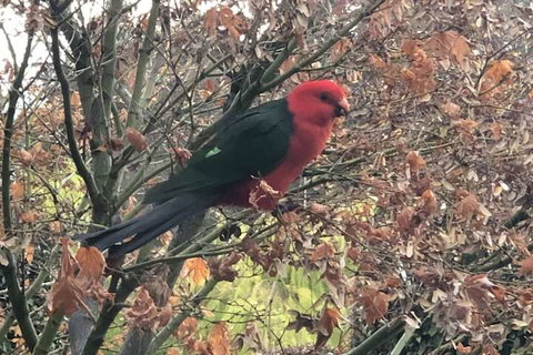 The Studio Yarra Valley - VIC Tourism 6