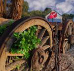 Bellum Hotel - VIC Tourism