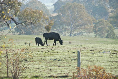 Mancuso Country Cottage Retreat - VIC Tourism 5