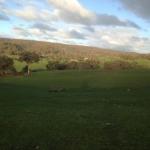 Mancuso Country Cottage Retreat - VIC Tourism 0