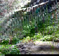 Lemonade Creek Cottages - VIC Tourism