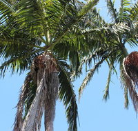 Tri Byron Bay - VIC Tourism