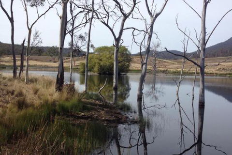 28 Gates Luxury Farmstay & Fishery - VIC Tourism 4