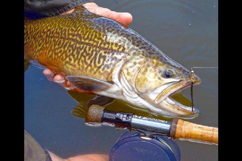 28 Gates Luxury Farmstay & Fishery - VIC Tourism 7