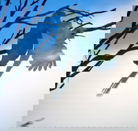 Tenterfield Cottage Holiday House - VIC Tourism