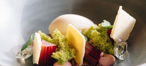 Room81 - VIC Tourism 2