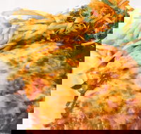 The Water Rat Hotel - VIC Tourism