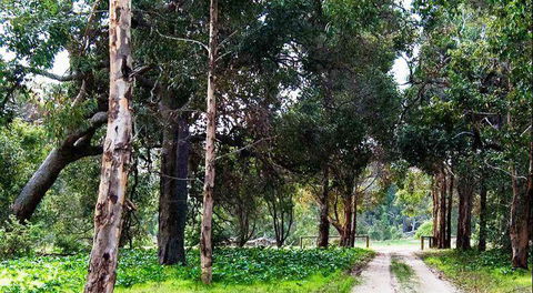 Arimia Restaurant And Winery - VIC Tourism 7