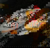 Lion Dance - VIC Tourism