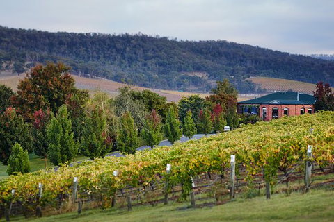 De Bortoli Winery & Restaurant - VIC Tourism 0