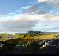 Rare Hare at Willow Creek Vineyard - VIC Tourism