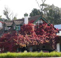 Fetching Treasures - VIC Tourism