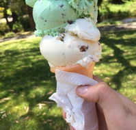 The Rainbow Ice Cream Shop - VIC Tourism