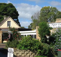 Tipsy Fig - VIC Tourism