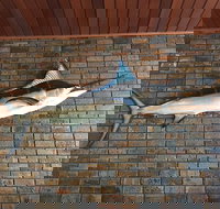 Tonys pizza house - VIC Tourism