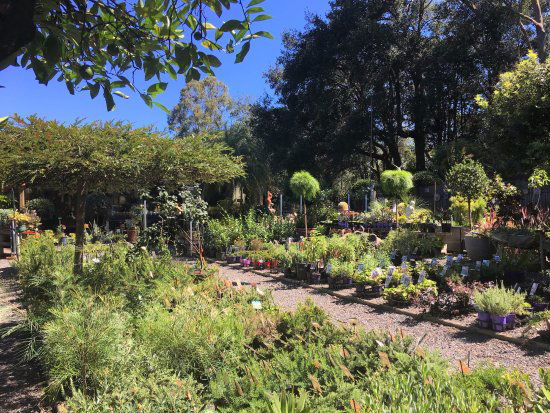 Yatte Yattah NSW VIC Tourism