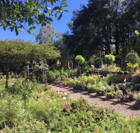 Yatte Yattah Nursery  Cafe - VIC Tourism
