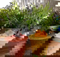 Brighton St - Takeaway - VIC Tourism