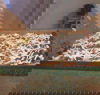 Flaming Bird - VIC Tourism