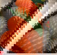 Sushi In - VIC Tourism