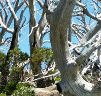 Alpine Eyre - VIC Tourism