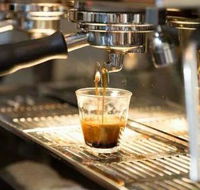 Black Bear Cafe - VIC Tourism