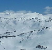Burning Log Restaurant - VIC Tourism