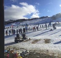 Snow Gums - VIC Tourism