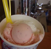 Bermagui Gelati Clinic