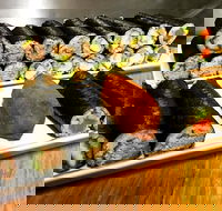 Freewave Sushi  Burgers - VIC Tourism