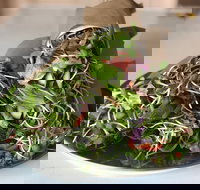 Santos Organics Mullumbimby - VIC Tourism