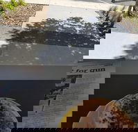 Queen of Tarts Toronto  Cessnock