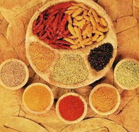 Tehzeeb Indian and Australian Restaurant - VIC Tourism