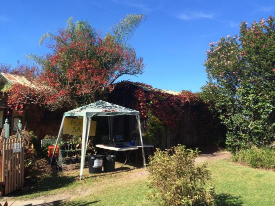 Bilpin NSW VIC Tourism