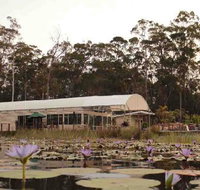 Abundance Cafe and Garden Centre - VIC Tourism