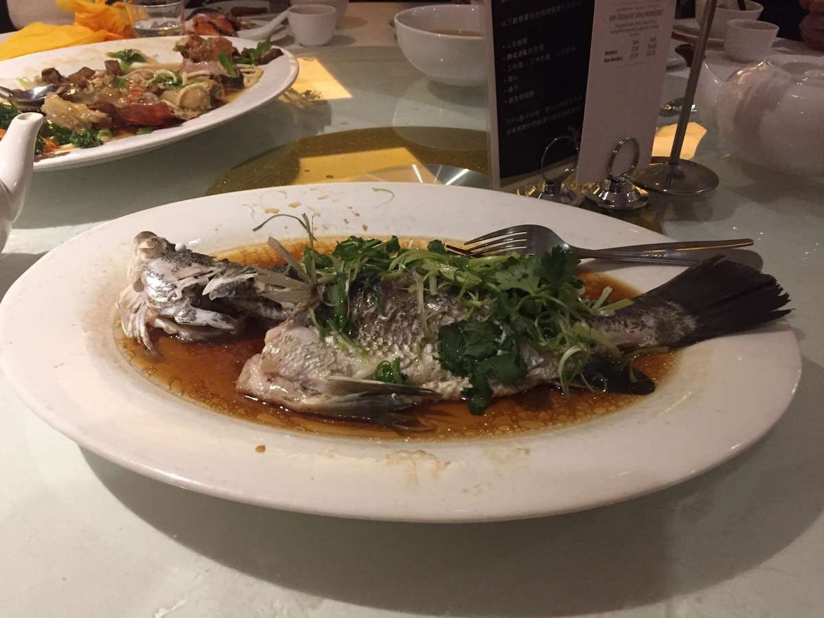 West Ryde NSW VIC Tourism