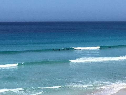 Beach Barista - VIC Tourism 1