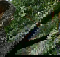 Rowlee Vine To Table Experience - VIC Tourism