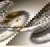 T Totaler - Newtown - VIC Tourism