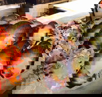 Cafe at the Hyatt Regency Perth - VIC Tourism