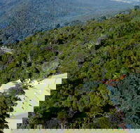 Canopy Cafe - VIC Tourism