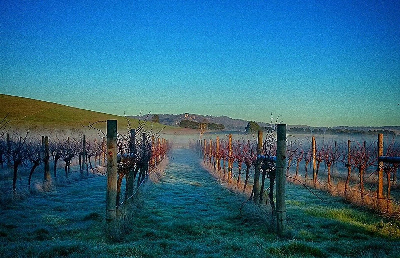 Newlyn North VIC VIC Tourism