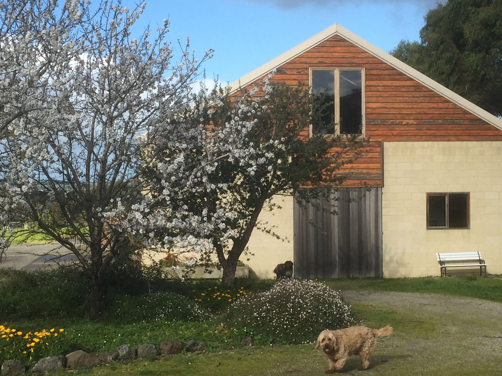 Drysdale VIC VIC Tourism