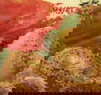 Shifu Dumpling Express - VIC Tourism