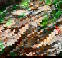 Siam Kingdom - VIC Tourism