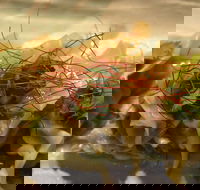 St. Hotel - VIC Tourism