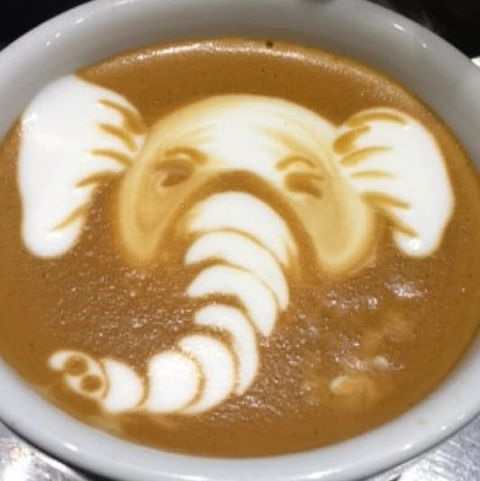 The Cupcake Queens - Frankston - VIC Tourism 0