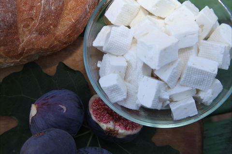 The Cheese Maker - VIC Tourism 1