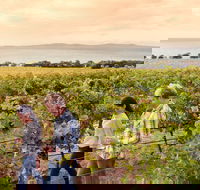 Boston Bay Wines