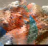 On Shore - VIC Tourism